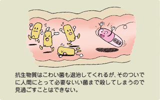 腸と健康・ワンポイントアドバイス