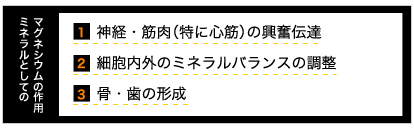 ミネラルとしてのマグネシウムの作用