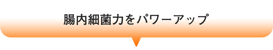 腸内細菌力をパワーアップ